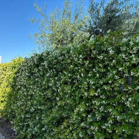 Apartment Est Est Est Trani